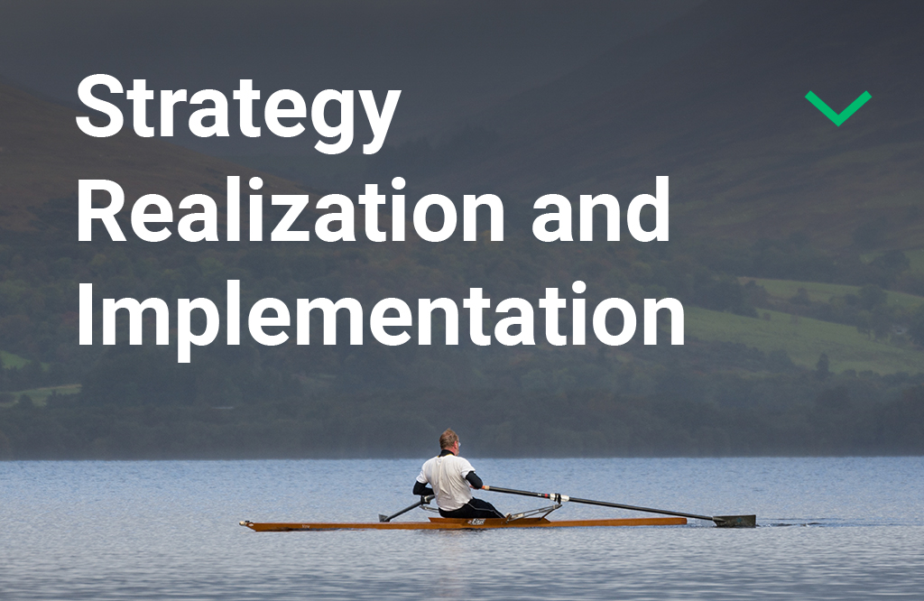 Strategy Realization and Implementation