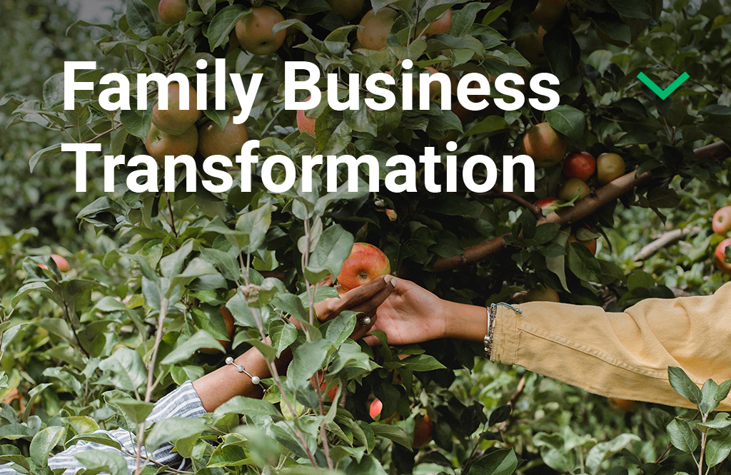 Family Business Transformation